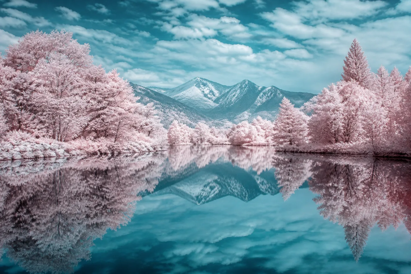 Midjourney 红外摄影风景:粉白植被环绕的高山湖泊倒影